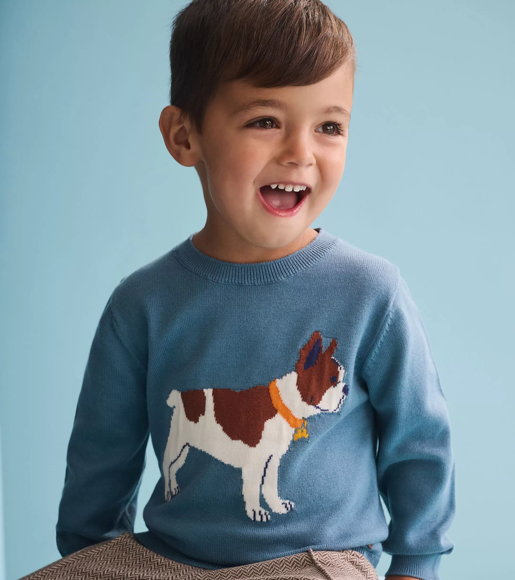 Hatley Baby & Toddler Boys French Bulldogs Crew Neck Sweater Hot