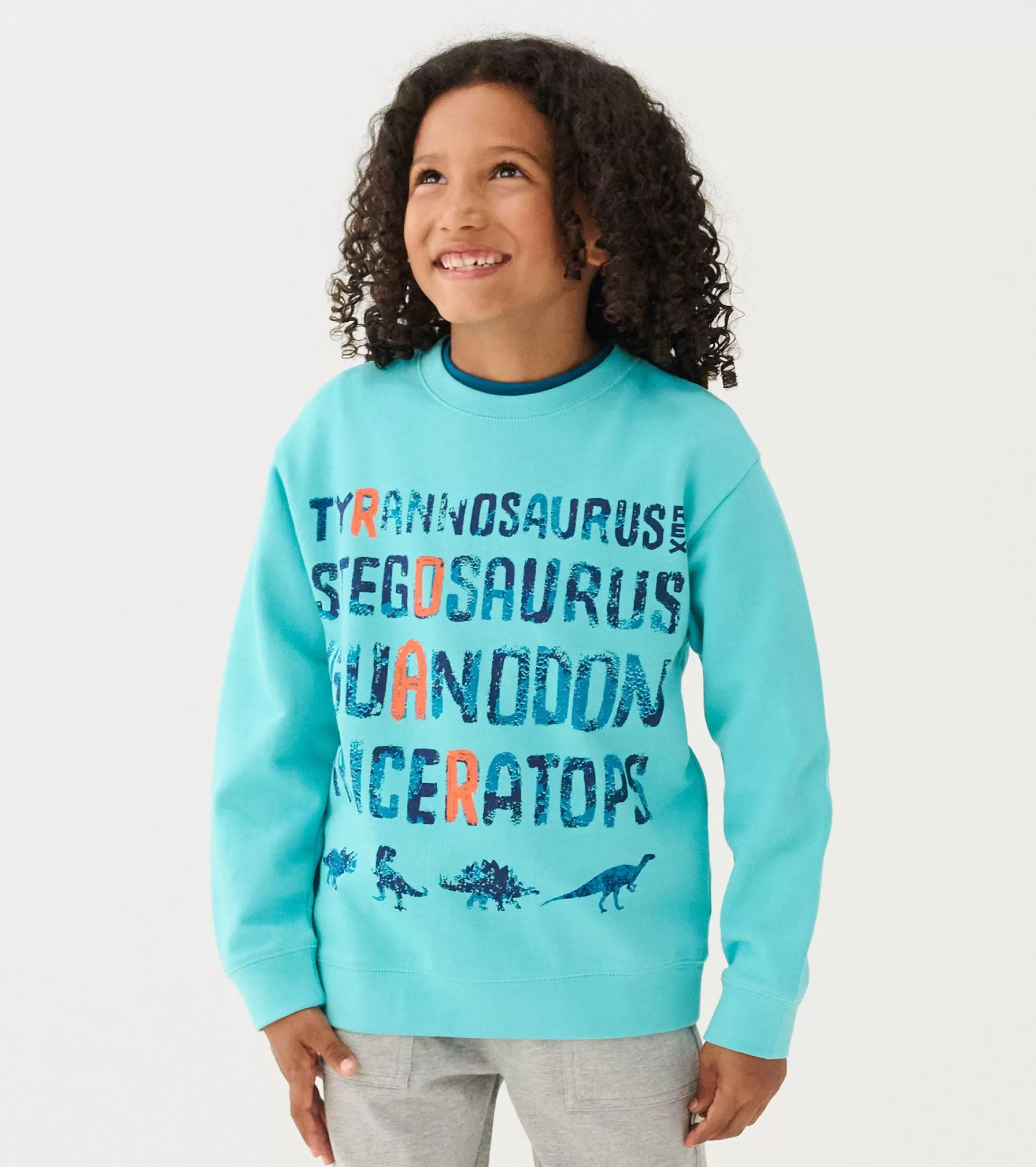 Hatley Boys Dinosaur Roar Sweatshirt Cheap