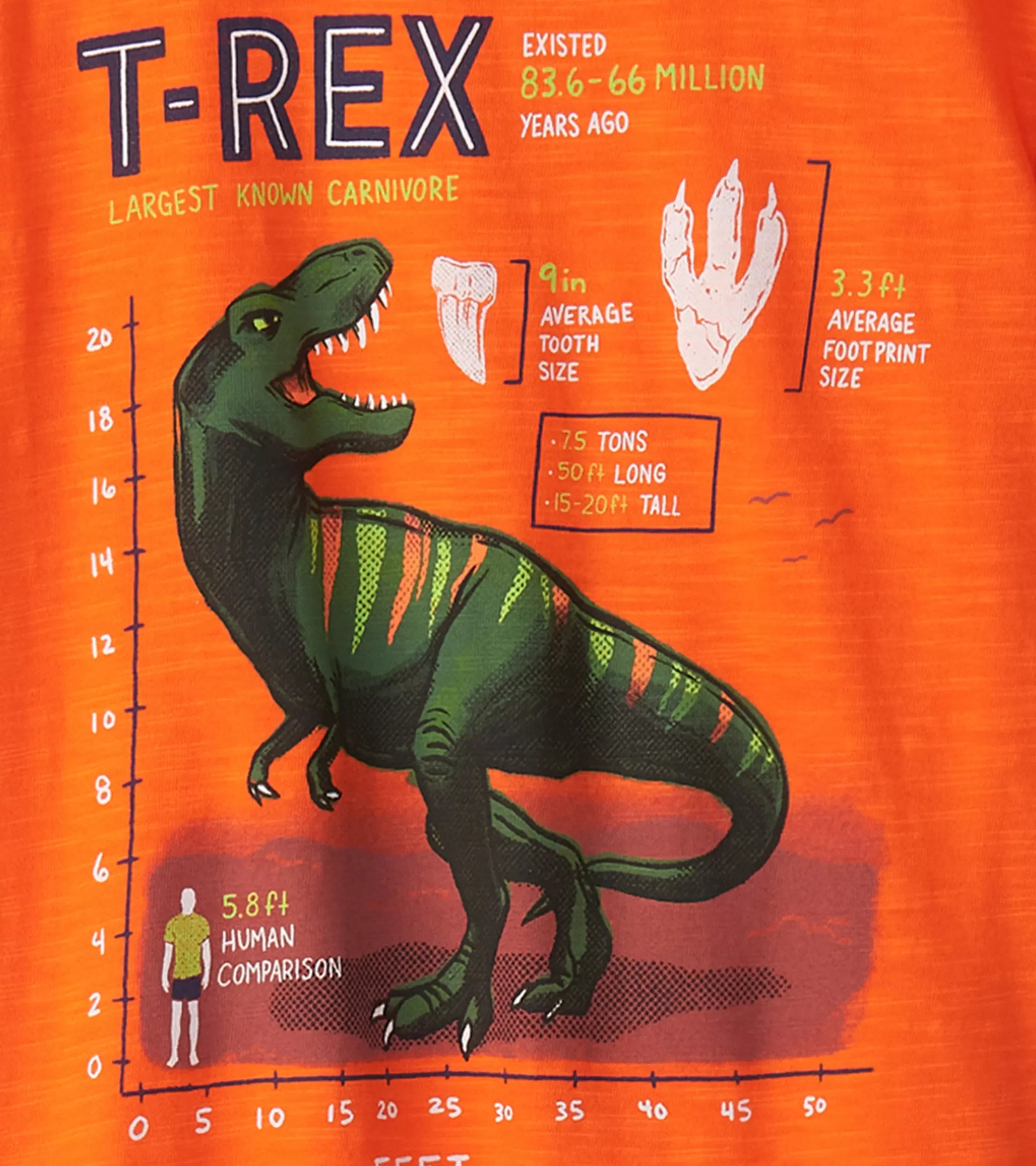 Hatley Boys T-Rex Graphic Tee Fashion