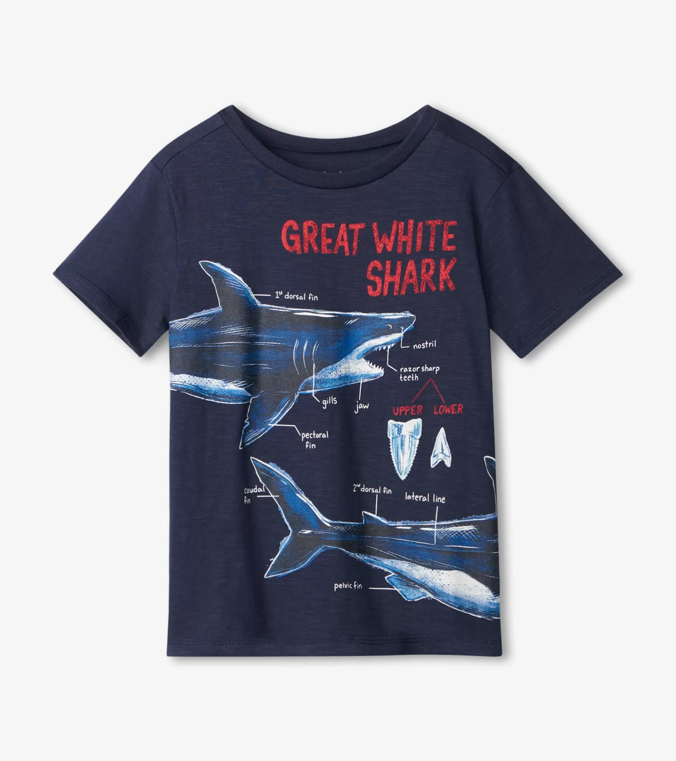 Hatley Great White Shark Graphic Tee Flash Sale